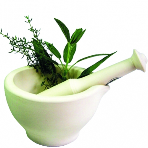 Fitoterapia - Mais saúde através das plantas